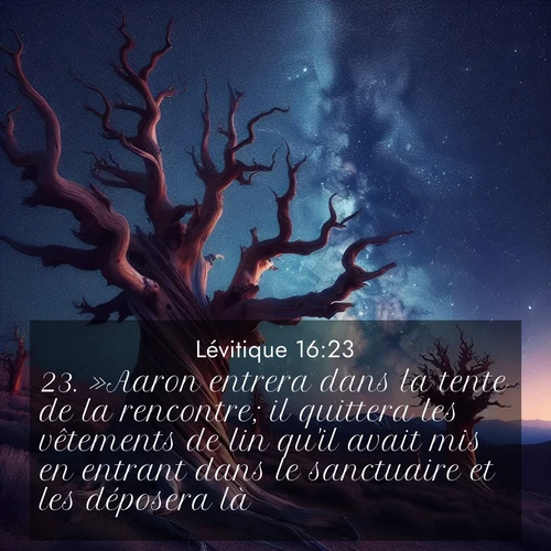 Segond21 Lévitique  ; image nature: image avec le verset biblique :»Aaron entrera dans la tente de la rencontre; il quittera les vêtements de lin qu&#039;il avait mis en entrant dans le sanctuaire et les déposera là. ;  ; 16:23