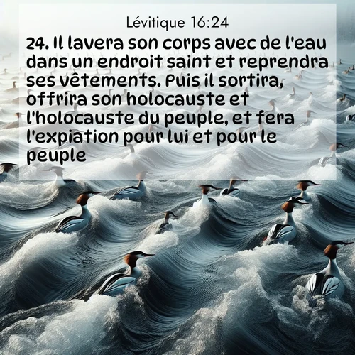 Segond21 Lévitique  ; image nature: image avec le verset biblique :Il lavera son corps avec de l&#039;eau dans un endroit saint et reprendra ses vêtements. Puis il sortira, offrira son holocauste et l&#039;holocauste du peuple, et fera l&#039;expiation pour lui et pour le peuple. ;  ; 16:24