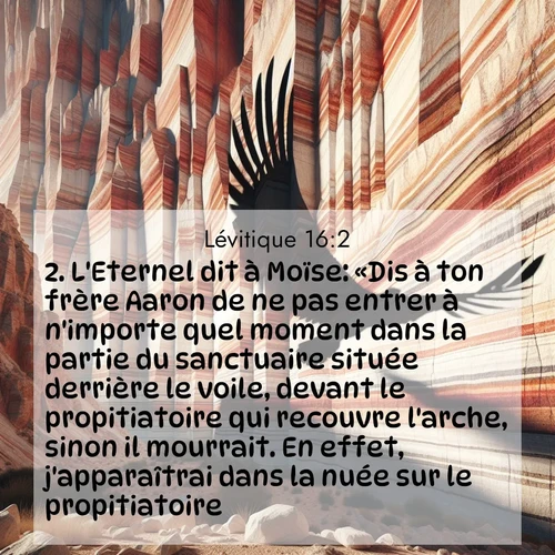 Segond21 Lévitique  ; image nature: image avec le verset biblique :L&#039;Eternel dit à Moïse: «Dis à ton frère Aaron de ne pas entrer à n&#039;importe quel moment dans la partie du sanctuaire située derrière le voile, devant le propitiatoire qui recouvre l&#039;arche, sinon il mourrait. En effet, j&#039;apparaîtrai dans la nuée sur le propitiatoire. ;  ; 16:2