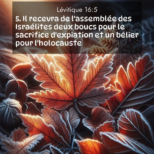 Segond21 Lévitique  ; image nature: image avec le verset biblique :Il recevra de l&#039;assemblée des Israélites deux boucs pour le sacrifice d&#039;expiation et un bélier pour l&#039;holocauste. ;  ; 16:5