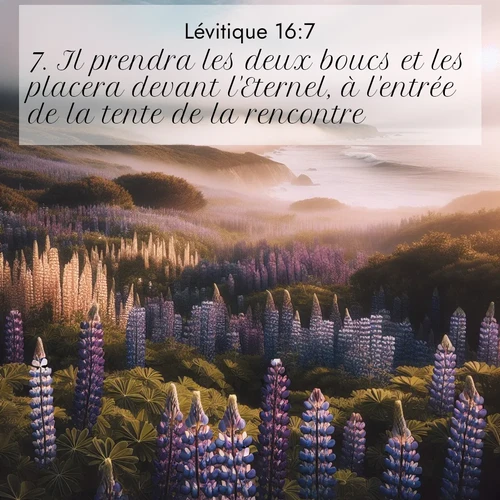 Segond21 Lévitique  ; image nature: image avec le verset biblique :Il prendra les deux boucs et les placera devant l&#039;Eternel, à l&#039;entrée de la tente de la rencontre. ;  ; 16:7