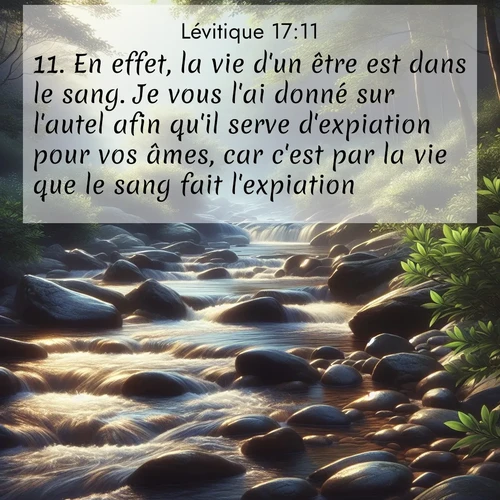 Segond21 Lévitique  ; image nature: image avec le verset biblique :En effet, la vie d&#039;un être est dans le sang. Je vous l&#039;ai donné sur l&#039;autel afin qu&#039;il serve d&#039;expiation pour vos âmes, car c&#039;est par la vie que le sang fait l&#039;expiation. ;  ; 17:11