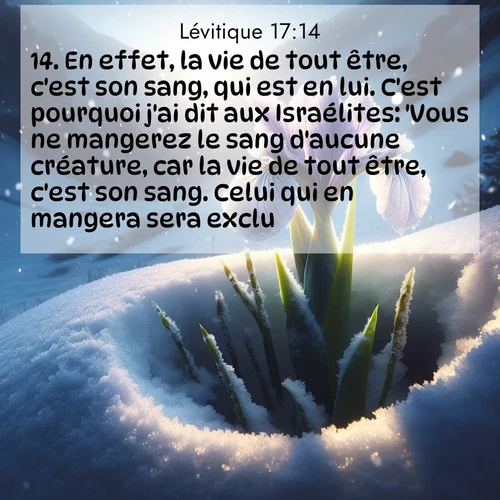 Segond21 Lévitique  ; image nature: image avec le verset biblique :En effet, la vie de tout être, c&#039;est son sang, qui est en lui. C&#039;est pourquoi j&#039;ai dit aux Israélites: &#039;Vous ne mangerez le sang d&#039;aucune créature, car la vie de tout être, c&#039;est son sang. Celui qui en mangera sera exclu.&#039; ;  ; 17:14