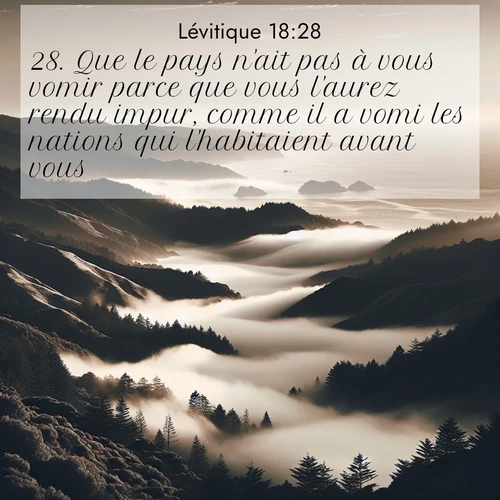 Segond21 Lévitique  ; image nature: image avec le verset biblique :Que le pays n&#039;ait pas à vous vomir parce que vous l&#039;aurez rendu impur, comme il a vomi les nations qui l&#039;habitaient avant vous. ;  ; 18:28