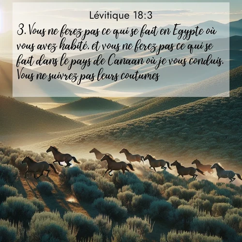 Segond21 Lévitique  ; image nature: image avec le verset biblique :Vous ne ferez pas ce qui se fait en Egypte où vous avez habité, et vous ne ferez pas ce qui se fait dans le pays de Canaan où je vous conduis. Vous ne suivrez pas leurs coutumes. ;  ; 18:3