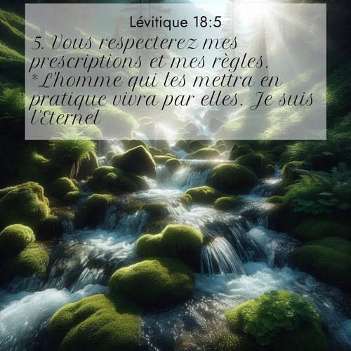 Segond21 Lévitique  ; image nature: image avec le verset biblique :Vous respecterez mes prescriptions et mes règles. *L&#039;homme qui les mettra en pratique vivra par elles. Je suis l&#039;Eternel. ;  ; 18:5
