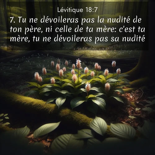 Segond21 Lévitique  ; image nature: image avec le verset biblique :Tu ne dévoileras pas la nudité de ton père, ni celle de ta mère: c&#039;est ta mère, tu ne dévoileras pas sa nudité. ;  ; 18:7