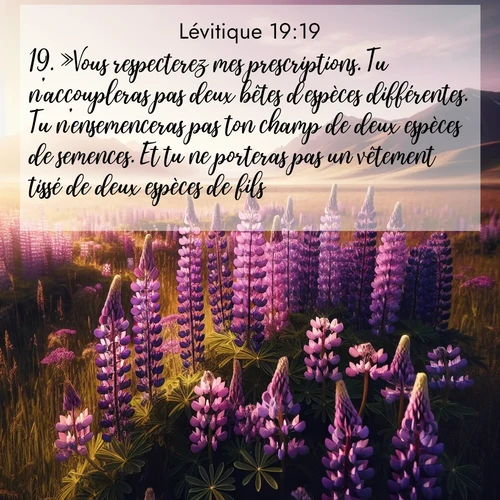 Segond21 Lévitique  ; image nature: image avec le verset biblique :»Vous respecterez mes prescriptions. Tu n&#039;accoupleras pas deux bêtes d&#039;espèces différentes. Tu n&#039;ensemenceras pas ton champ de deux espèces de semences. Et tu ne porteras pas un vêtement tissé de deux espèces de fils. ;  ; 19:19