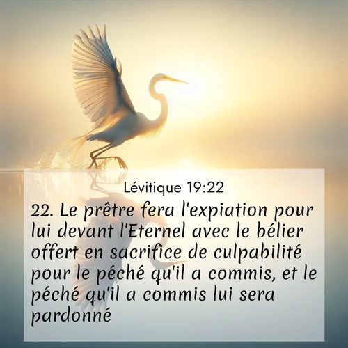 Segond21 Lévitique  ; image nature: image avec le verset biblique :Le prêtre fera l&#039;expiation pour lui devant l&#039;Eternel avec le bélier offert en sacrifice de culpabilité pour le péché qu&#039;il a commis, et le péché qu&#039;il a commis lui sera pardonné. ;  ; 19:22