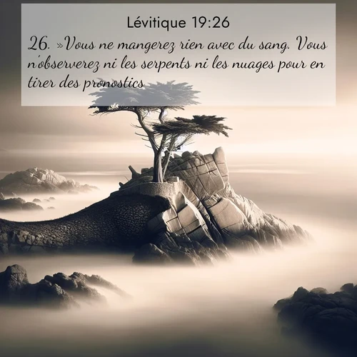 Segond21 Lévitique  ; image nature: image avec le verset biblique :»Vous ne mangerez rien avec du sang. Vous n&#039;observerez ni les serpents ni les nuages pour en tirer des pronostics. ;  ; 19:26