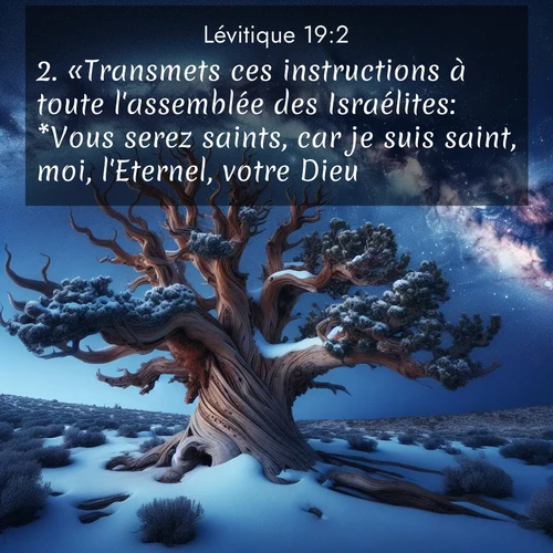 Segond21 Lévitique  ; image nature: image avec le verset biblique :«Transmets ces instructions à toute l&#039;assemblée des Israélites: *Vous serez saints, car je suis saint, moi, l&#039;Eternel, votre Dieu. ;  ; 19:2