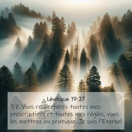 Segond21 Lévitique  ; image nature: image avec le verset biblique :Vous respecterez toutes mes prescriptions et toutes mes règles, vous les mettrez en pratique. Je suis l&#039;Eternel.» ;  ; 19:37