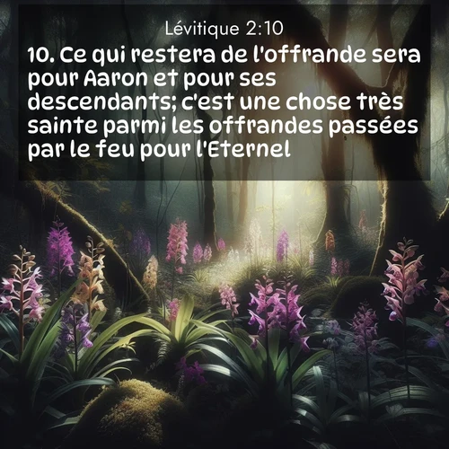 Segond21 Lévitique  ; image nature: image avec le verset biblique :Ce qui restera de l&#039;offrande sera pour Aaron et pour ses descendants; c&#039;est une chose très sainte parmi les offrandes passées par le feu pour l&#039;Eternel. ;  ; 2:10