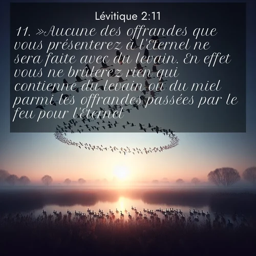Segond21 Lévitique  ; image nature: image avec le verset biblique :»Aucune des offrandes que vous présenterez à l&#039;Eternel ne sera faite avec du levain. En effet vous ne brûlerez rien qui contienne du levain ou du miel parmi les offrandes passées par le feu pour l&#039;Eternel. ;  ; 2:11