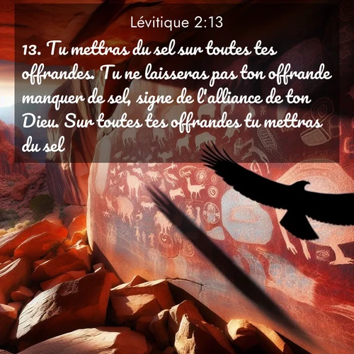 Segond21 Lévitique  ; image nature: image avec le verset biblique :Tu mettras du sel sur toutes tes offrandes. Tu ne laisseras pas ton offrande manquer de sel, signe de l&#039;alliance de ton Dieu. Sur toutes tes offrandes tu mettras du sel. ;  ; 2:13