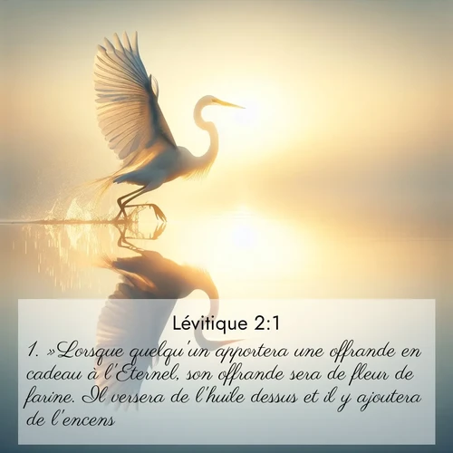 Segond21 Lévitique  ; image nature: image avec le verset biblique :»Lorsque quelqu&#039;un apportera une offrande en cadeau à l&#039;Eternel, son offrande sera de fleur de farine. Il versera de l&#039;huile dessus et il y ajoutera de l&#039;encens. ;  ; 2:1