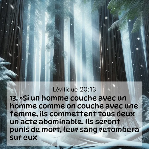 Segond21 Lévitique  ; image nature: image avec le verset biblique :»Si un homme couche avec un homme comme on couche avec une femme, ils commettent tous deux un acte abominable. Ils seront punis de mort, leur sang retombera sur eux. ;  ; 20:13