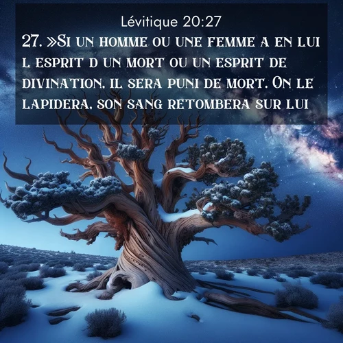 Segond21 Lévitique  ; image nature: image avec le verset biblique :»Si un homme ou une femme a en lui l&#039;esprit d&#039;un mort ou un esprit de divination, il sera puni de mort. On le lapidera, son sang retombera sur lui.» ;  ; 20:27