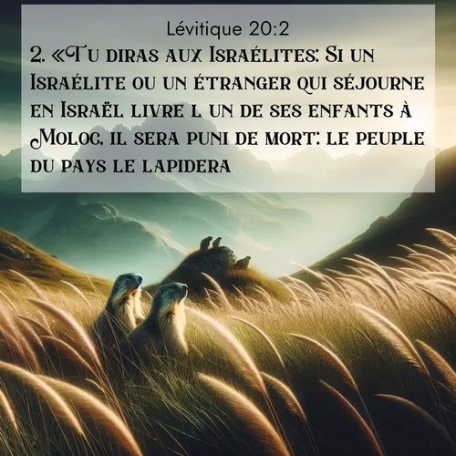 Segond21 Lévitique  ; image nature: image avec le verset biblique :«Tu diras aux Israélites: Si un Israélite ou un étranger qui séjourne en Israël livre l&#039;un de ses enfants à Moloc, il sera puni de mort: le peuple du pays le lapidera. ;  ; 20:2