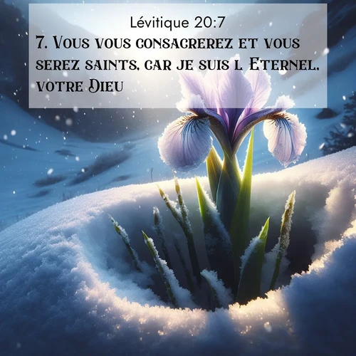 Segond21 Lévitique  ; image nature: image avec le verset biblique :Vous vous consacrerez et vous serez saints, car je suis l&#039;Eternel, votre Dieu. ;  ; 20:7
