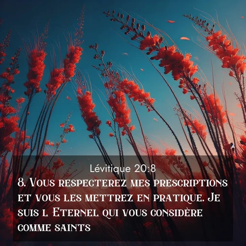 Segond21 Lévitique  ; image nature: image avec le verset biblique :Vous respecterez mes prescriptions et vous les mettrez en pratique. Je suis l&#039;Eternel qui vous considère comme saints. ;  ; 20:8