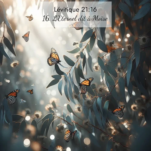 Segond21 Lévitique  ; image nature: image avec le verset biblique :L&#039;Eternel dit à Moïse: ;  ; 21:16