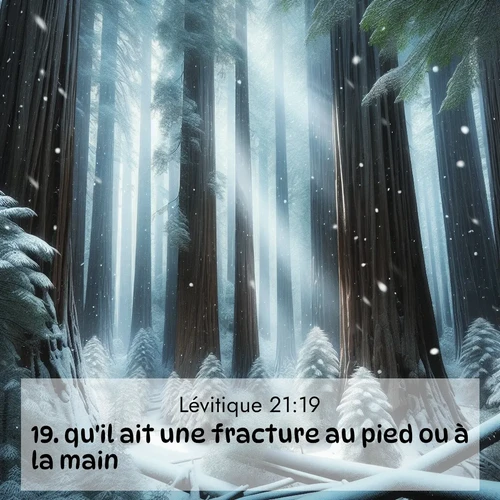 Segond21 Lévitique  ; image nature: image avec le verset biblique :qu&#039;il ait une fracture au pied ou à la main, ;  ; 21:19