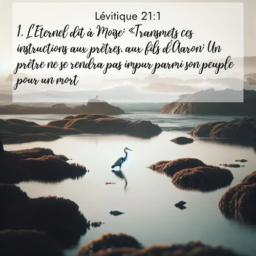 Segond21 Lévitique  ; image nature: image avec le verset biblique :L&#039;Eternel dit à Moïse: «Transmets ces instructions aux prêtres, aux fils d&#039;Aaron: Un prêtre ne se rendra pas impur parmi son peuple pour un mort, ;  ; 21:1
