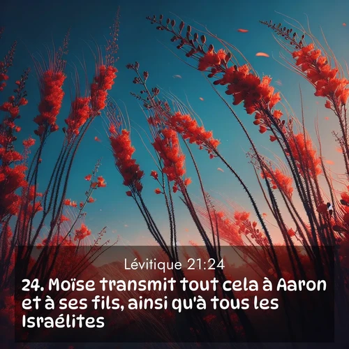 Segond21 Lévitique  ; image nature: image avec le verset biblique :Moïse transmit tout cela à Aaron et à ses fils, ainsi qu&#039;à tous les Israélites. ;  ; 21:24
