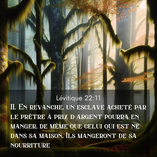 Segond21 Lévitique  ; image nature: image avec le verset biblique :En revanche, un esclave acheté par le prêtre à prix d&#039;argent pourra en manger, de même que celui qui est né dans sa maison. Ils mangeront de sa nourriture. ;  ; 22:11