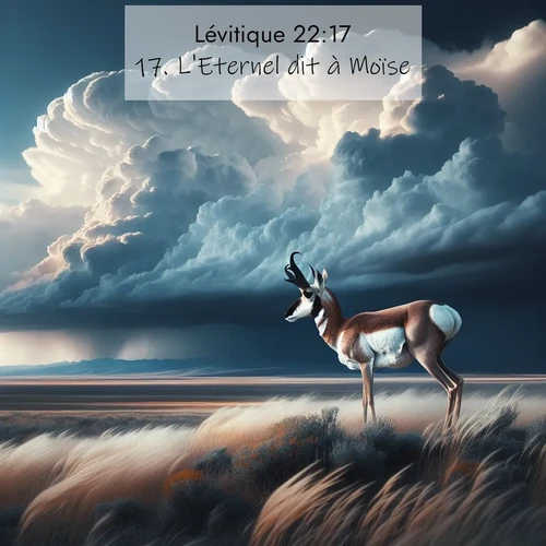 Segond21 Lévitique  ; image nature: image avec le verset biblique :L&#039;Eternel dit à Moïse: ;  ; 22:17