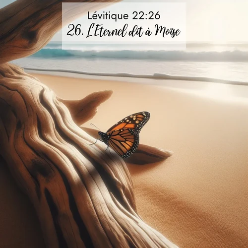 Segond21 Lévitique  ; image nature: image avec le verset biblique :L&#039;Eternel dit à Moïse: ;  ; 22:26