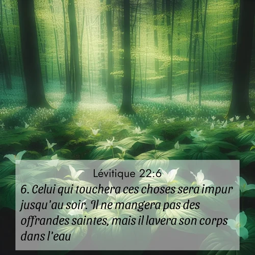 Segond21 Lévitique  ; image nature: image avec le verset biblique :Celui qui touchera ces choses sera impur jusqu&#039;au soir. Il ne mangera pas des offrandes saintes, mais il lavera son corps dans l&#039;eau. ;  ; 22:6