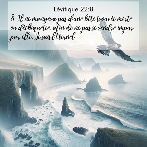 Segond21 Lévitique  ; image nature: image avec le verset biblique :Il ne mangera pas d&#039;une bête trouvée morte ou déchiquetée, afin de ne pas se rendre impur par elle. Je suis l&#039;Eternel. ;  ; 22:8
