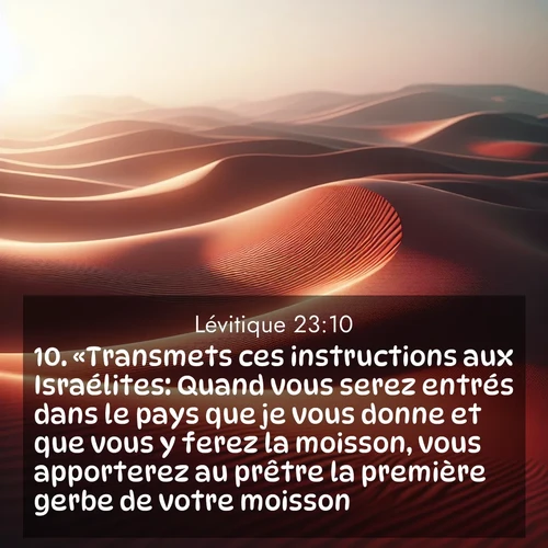 Segond21 Lévitique  ; image nature: image avec le verset biblique :«Transmets ces instructions aux Israélites: Quand vous serez entrés dans le pays que je vous donne et que vous y ferez la moisson, vous apporterez au prêtre la première gerbe de votre moisson. ;  ; 23:10