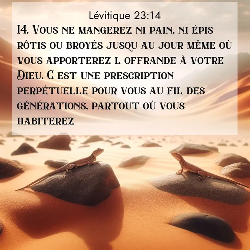 Segond21 Lévitique  ; image nature: image avec le verset biblique :Vous ne mangerez ni pain, ni épis rôtis ou broyés jusqu&#039;au jour même où vous apporterez l&#039;offrande à votre Dieu. C&#039;est une prescription perpétuelle pour vous au fil des générations, partout où vous habiterez. ;  ; 23:14