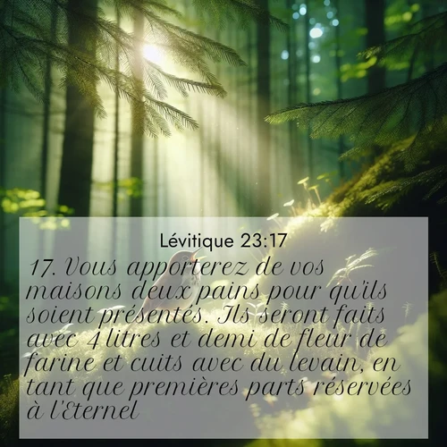 Segond21 Lévitique  ; image nature: image avec le verset biblique :Vous apporterez de vos maisons deux pains pour qu&#039;ils soient présentés. Ils seront faits avec 4 litres et demi de fleur de farine et cuits avec du levain, en tant que premières parts réservées à l&#039;Eternel. ;  ; 23:17