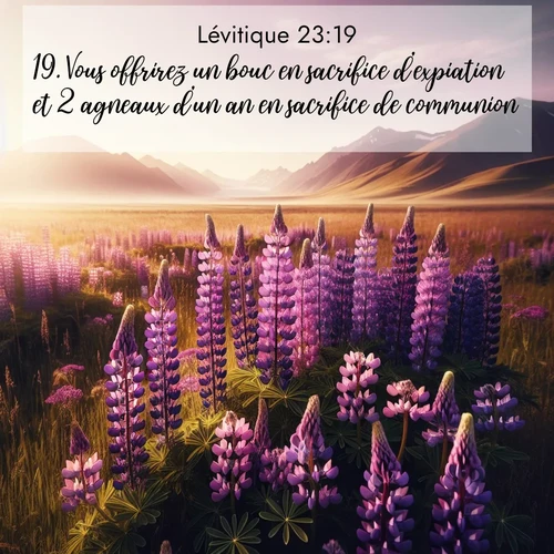 Segond21 Lévitique  ; image nature: image avec le verset biblique :Vous offrirez un bouc en sacrifice d&#039;expiation et 2 agneaux d&#039;un an en sacrifice de communion. ;  ; 23:19