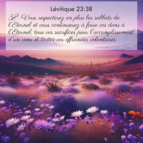 Segond21 Lévitique  ; image nature: image avec le verset biblique :Vous respecterez en plus les sabbats de l&#039;Eternel et vous continuerez à faire vos dons à l&#039;Eternel, tous vos sacrifices pour l&#039;accomplissement d&#039;un voeu et toutes vos offrandes volontaires. ;  ; 23:38