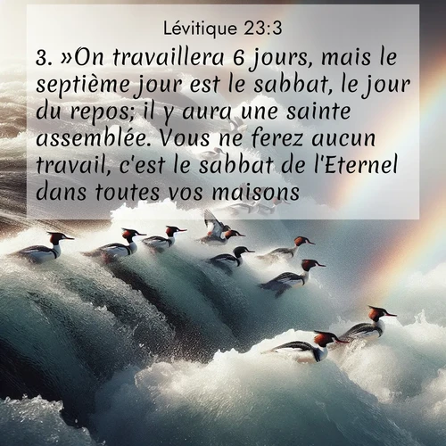 Segond21 Lévitique  ; image nature: image avec le verset biblique :»On travaillera 6 jours, mais le septième jour est le sabbat, le jour du repos; il y aura une sainte assemblée. Vous ne ferez aucun travail, c&#039;est le sabbat de l&#039;Eternel dans toutes vos maisons. ;  ; 23:3