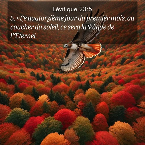 Segond21 Lévitique  ; image nature: image avec le verset biblique :»Le quatorzième jour du premier mois, au coucher du soleil, ce sera la Pâque de l&#039;Eternel. ;  ; 23:5