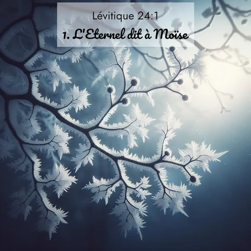 Segond21 Lévitique  ; image nature: image avec le verset biblique :L&#039;Eternel dit à Moïse: ;  ; 24:1