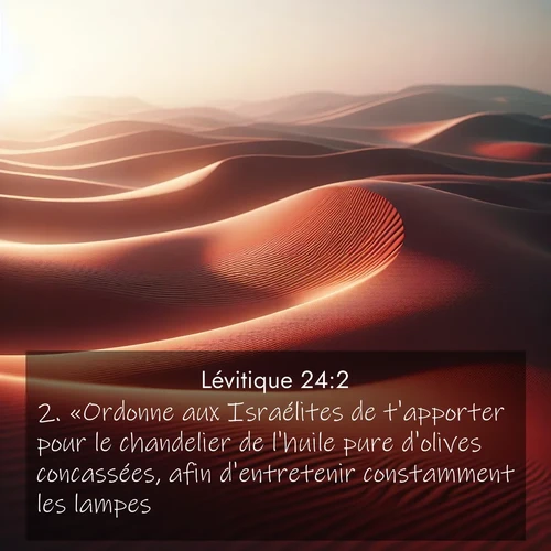 Segond21 Lévitique  ; image nature: image avec le verset biblique :«Ordonne aux Israélites de t&#039;apporter pour le chandelier de l&#039;huile pure d&#039;olives concassées, afin d&#039;entretenir constamment les lampes. ;  ; 24:2