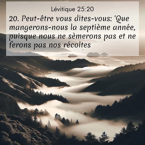 Segond21 Lévitique  ; image nature: image avec le verset biblique :Peut-être vous dites-vous: &#039;Que mangerons-nous la septième année, puisque nous ne sèmerons pas et ne ferons pas nos récoltes?&#039; ;  ; 25:20