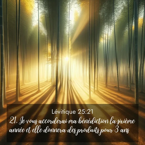 Segond21 Lévitique  ; image nature: image avec le verset biblique :Je vous accorderai ma bénédiction la sixième année et elle donnera des produits pour 3 ans. ;  ; 25:21