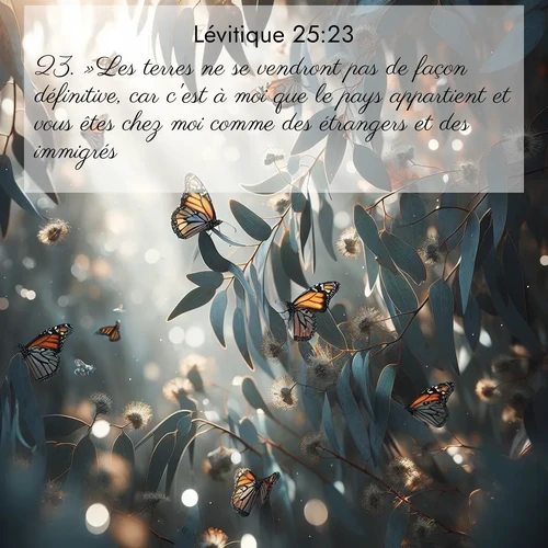 Segond21 Lévitique  ; image nature: image avec le verset biblique :»Les terres ne se vendront pas de façon définitive, car c&#039;est à moi que le pays appartient et vous êtes chez moi comme des étrangers et des immigrés. ;  ; 25:23