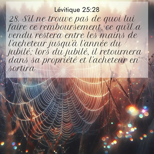 Segond21 Lévitique  ; image nature: image avec le verset biblique :S&#039;il ne trouve pas de quoi lui faire ce remboursement, ce qu&#039;il a vendu restera entre les mains de l&#039;acheteur jusqu&#039;à l&#039;année du jubilé; lors du jubilé, il retournera dans sa propriété et l&#039;acheteur en sortira. ;  ; 25:28