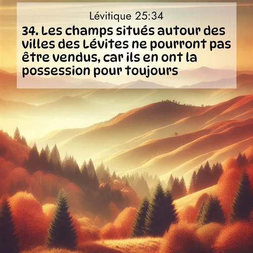 Segond21 Lévitique  ; image nature: image avec le verset biblique :Les champs situés autour des villes des Lévites ne pourront pas être vendus, car ils en ont la possession pour toujours. ;  ; 25:34
