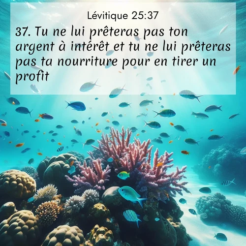 Segond21 Lévitique  ; image nature: image avec le verset biblique :Tu ne lui prêteras pas ton argent à intérêt et tu ne lui prêteras pas ta nourriture pour en tirer un profit. ;  ; 25:37