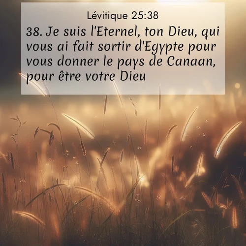 Segond21 Lévitique  ; image nature: image avec le verset biblique :Je suis l&#039;Eternel, ton Dieu, qui vous ai fait sortir d&#039;Egypte pour vous donner le pays de Canaan, pour être votre Dieu. ;  ; 25:38